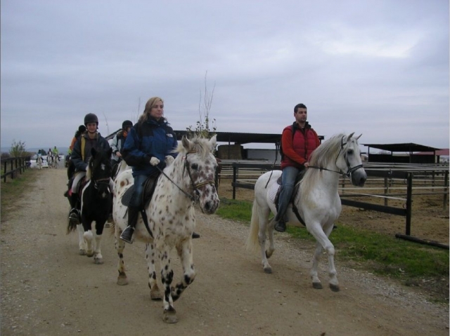 Disfruta de emocionantes rutas